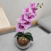 Arranjo de orquídea branco beauty vaso de vidro Tailândia incolor