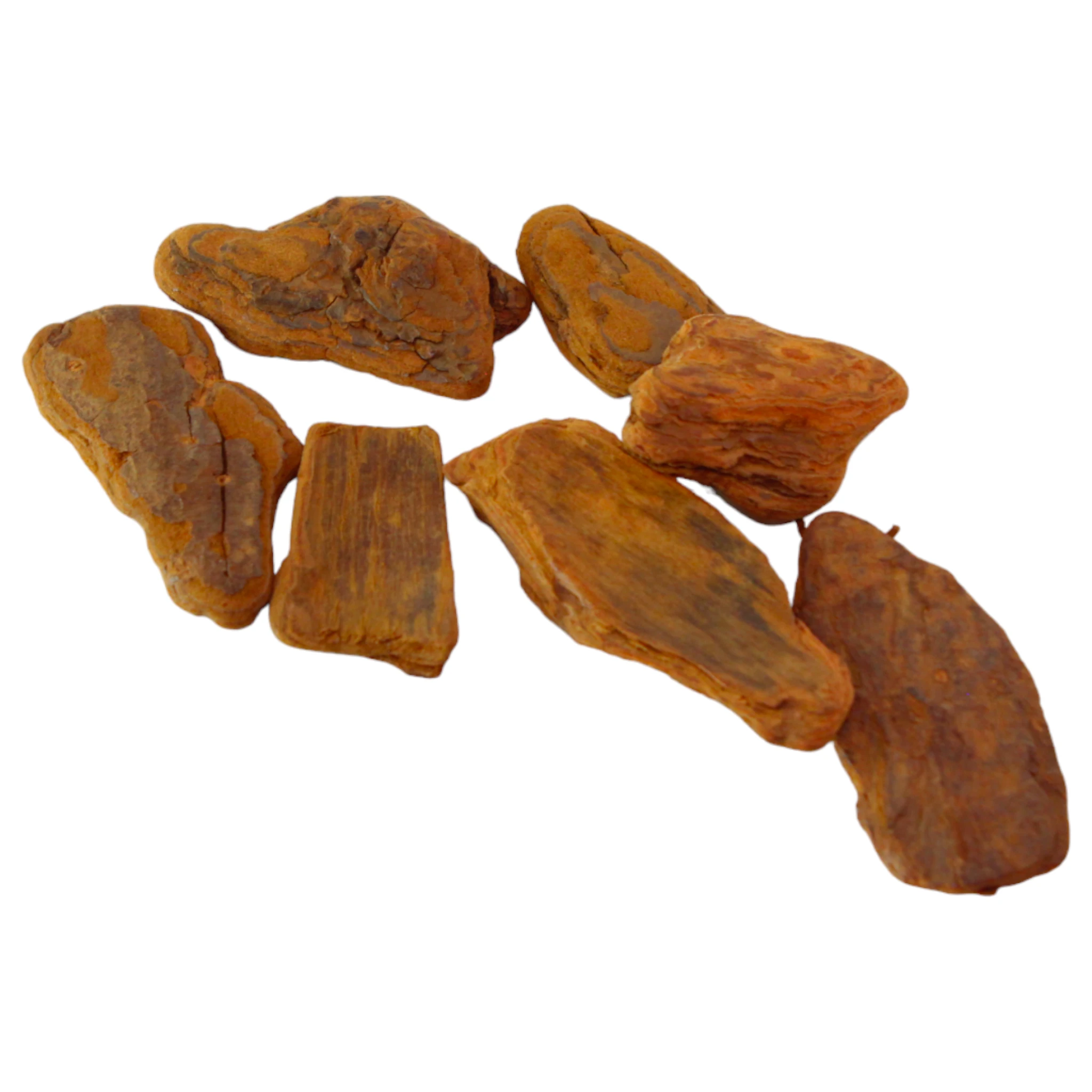 Casca de pinus polida 50x70 - 6KG - Imagem 2