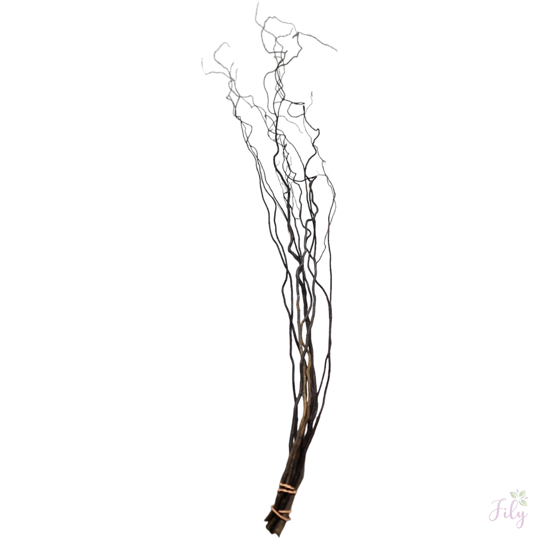 Vime torto natural M 1 Maço 140 Cm - Imagem 3