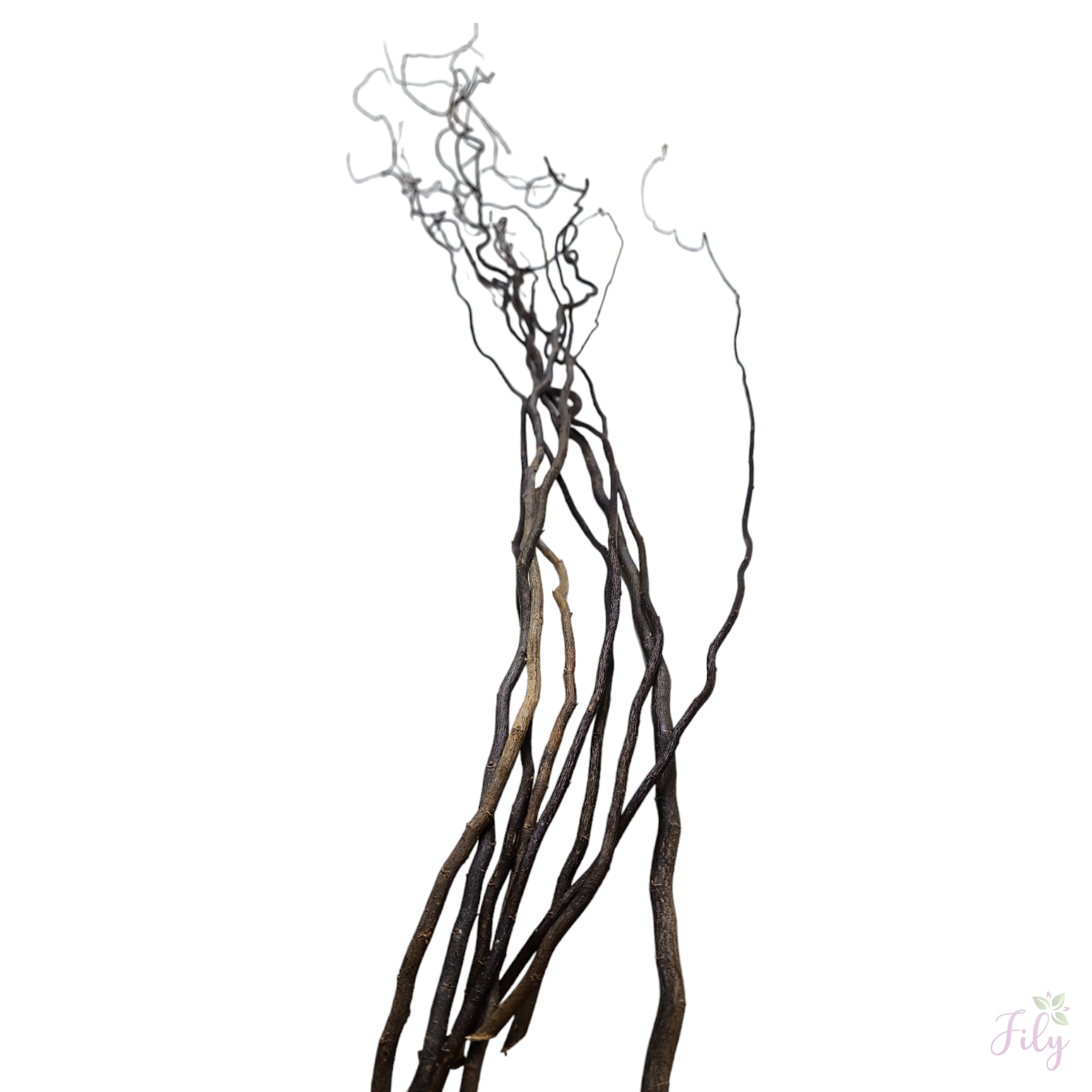 Vime torto natural P 1 Maço 100 Cm