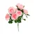 Rosa Claro