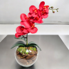 Arranjo de orquídea vermelho vaso de vidro Tailândia incolor