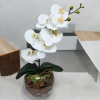 Arranjo de orquídea branco vaso de vidro Tailândia incolor