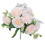 Rosa Claro