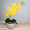 Arranjo de Orquidea Amarelo Vaso cerâmica capuccino brilho