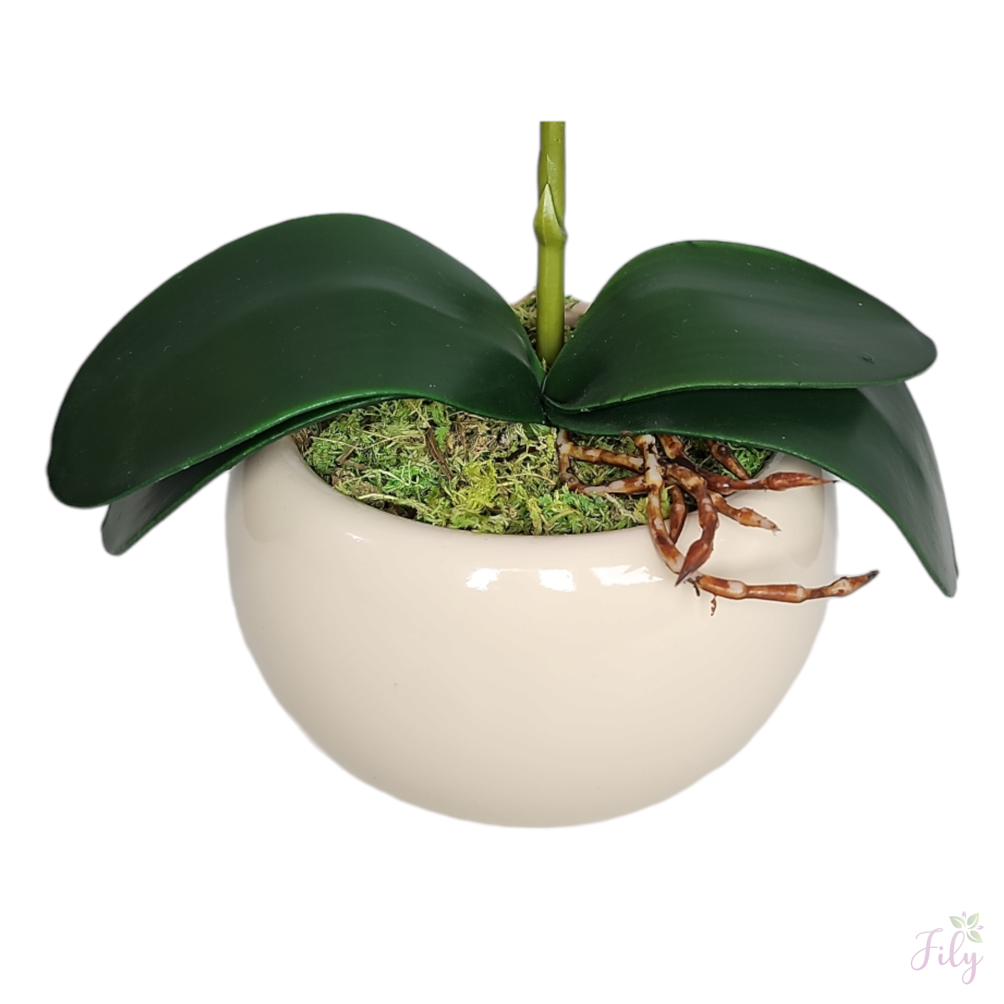 Arranjo de Orquidea Rosa Vaso cerâmica capuccino brilho - Imagem 2