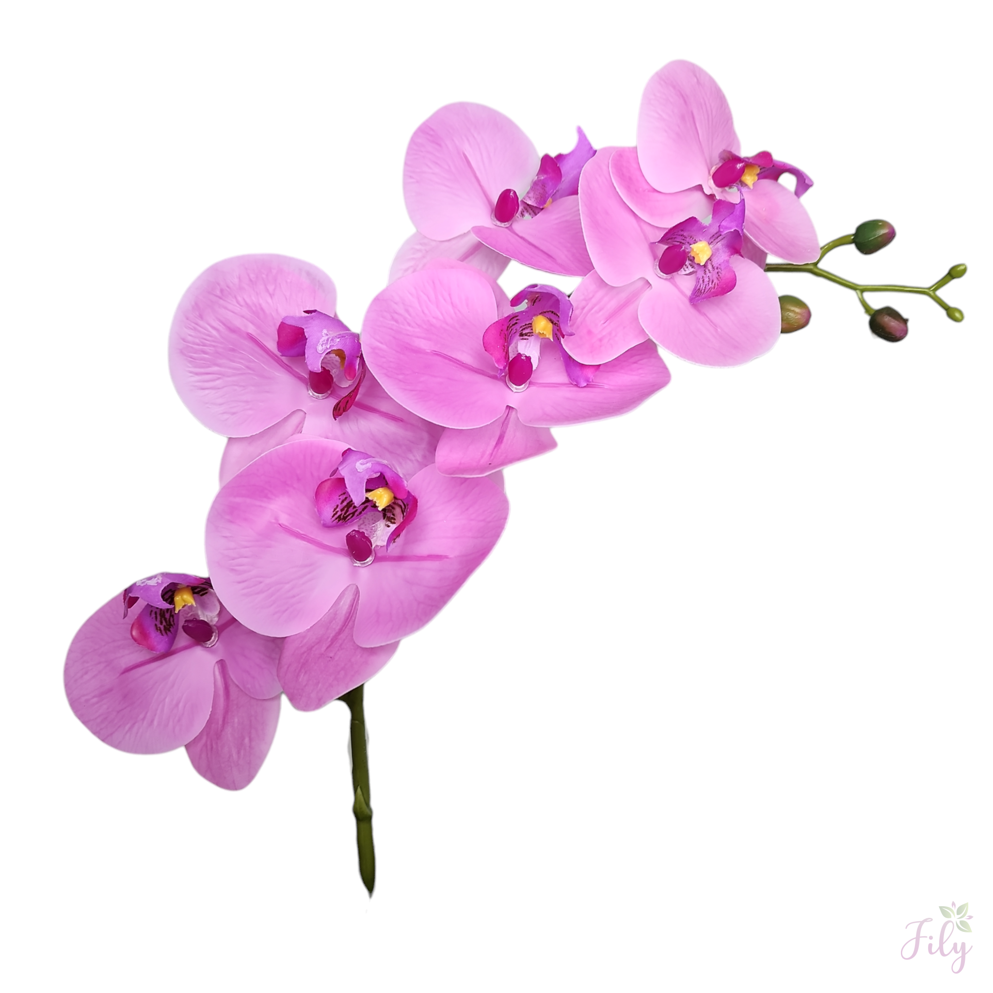 Arranjo de Orquidea Rosa Vaso cerâmica capuccino brilho - Imagem 3