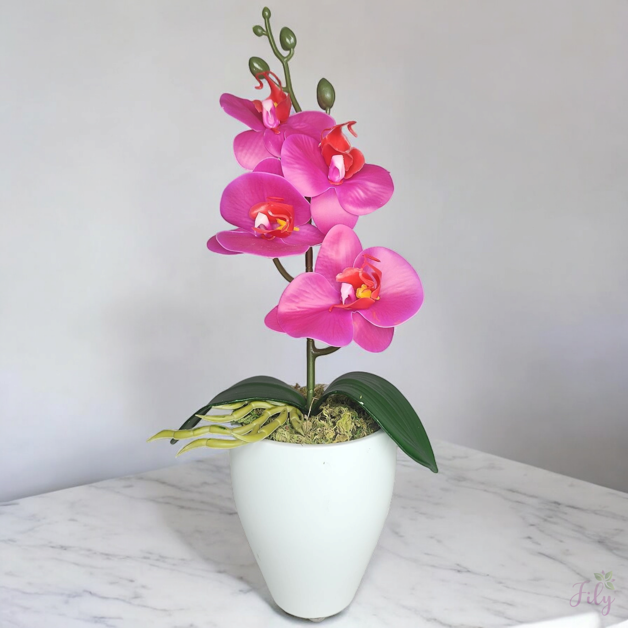 Arranjo de Mini Orquidea Roxa Vaso cerâmica kalachoe Branco