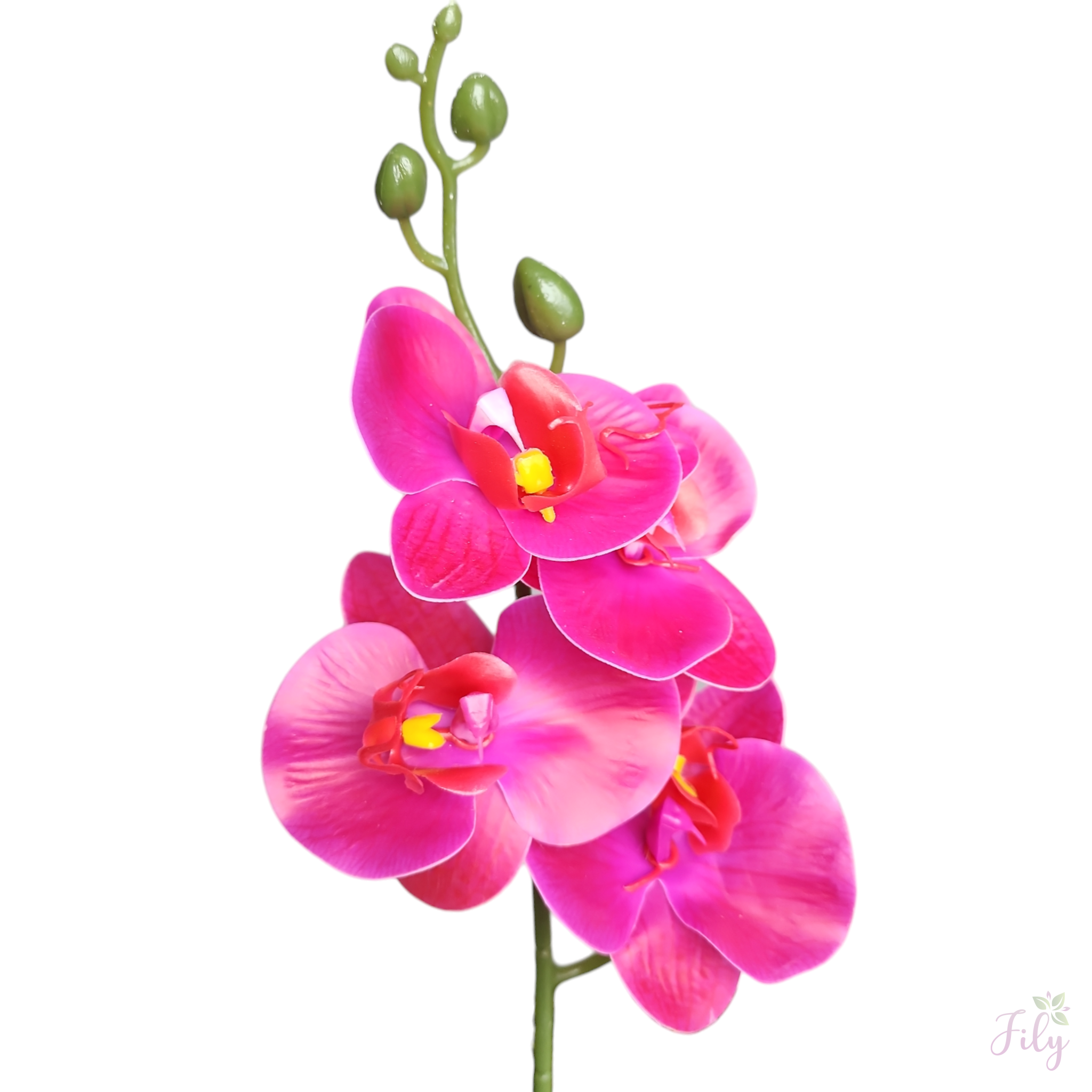 Arranjo de Mini Orquidea Roxa Vaso cerâmica kalachoe Branco - Imagem 2