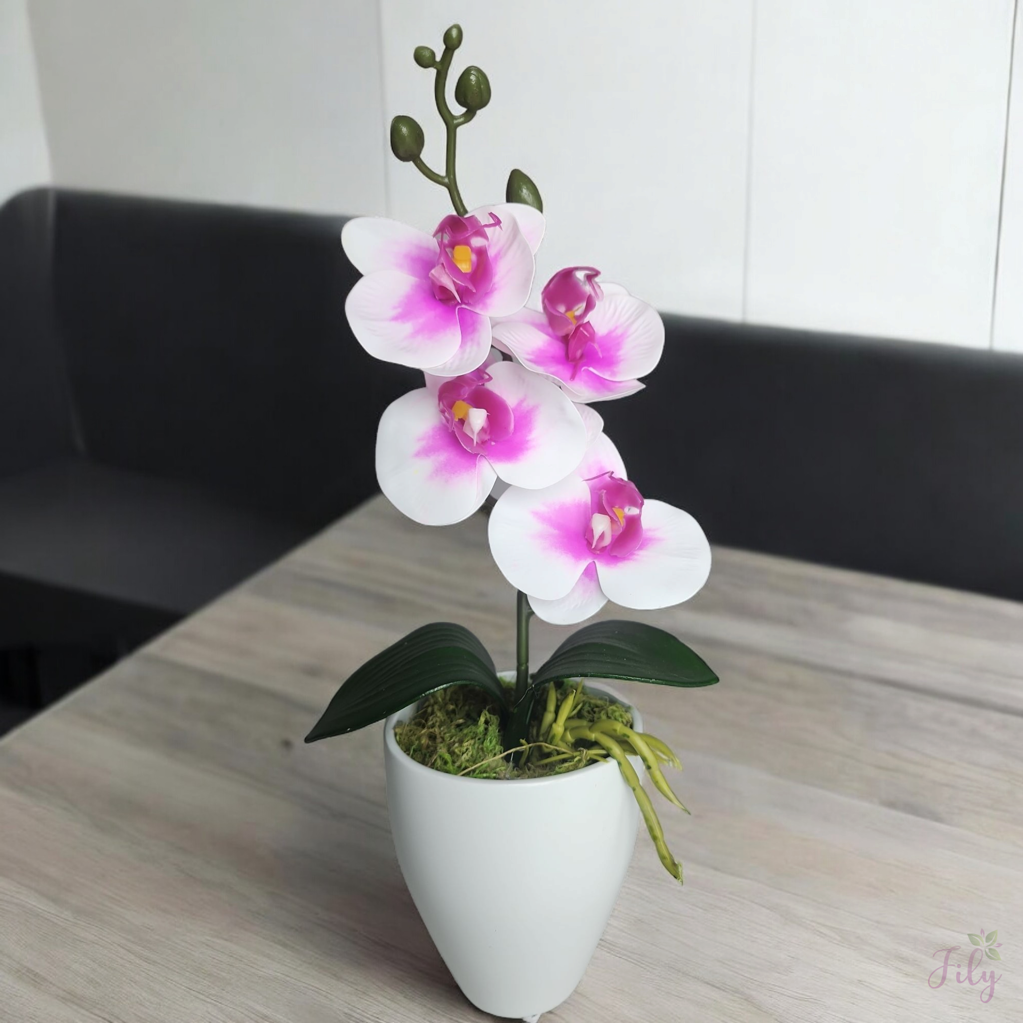 Arranjo de Mini Orquidea Roxa e Branca Vaso cerâmica kalachoe Branco