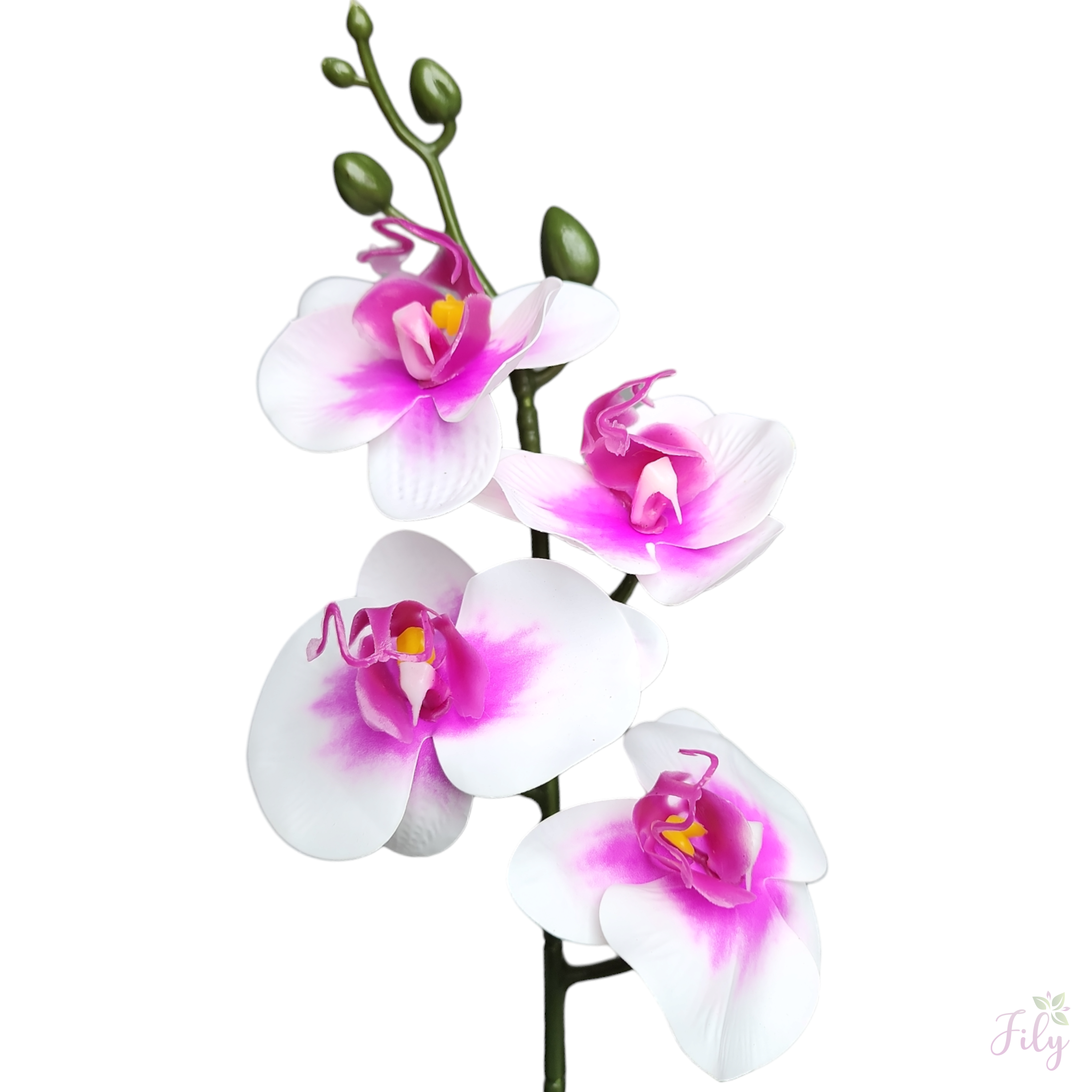 Arranjo de Mini Orquidea Roxa e Branca Vaso cerâmica kalachoe Branco - Imagem 2