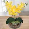 Arranjo com duas orquídeas amarela vaso de vidro rigado incolor