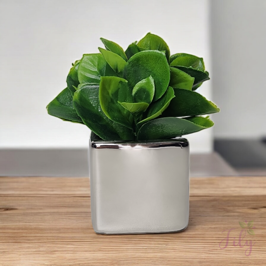 Vaso cerâmica prata quadrado com verdinho