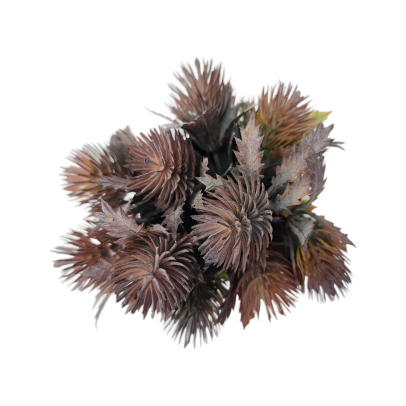 Pick de Folhagem Dipsacus A 23cm x L 9cm - MARROM