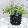 Arranjo de folhagem Fabi Vaso cerâmica diamante preto
