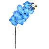 Haste Orquidea Phalenopsis com 7 Coat Azul A75cm X L17cm