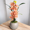 Arranjo de Orquídea Cymbidium Laranja Vaso vidro nude