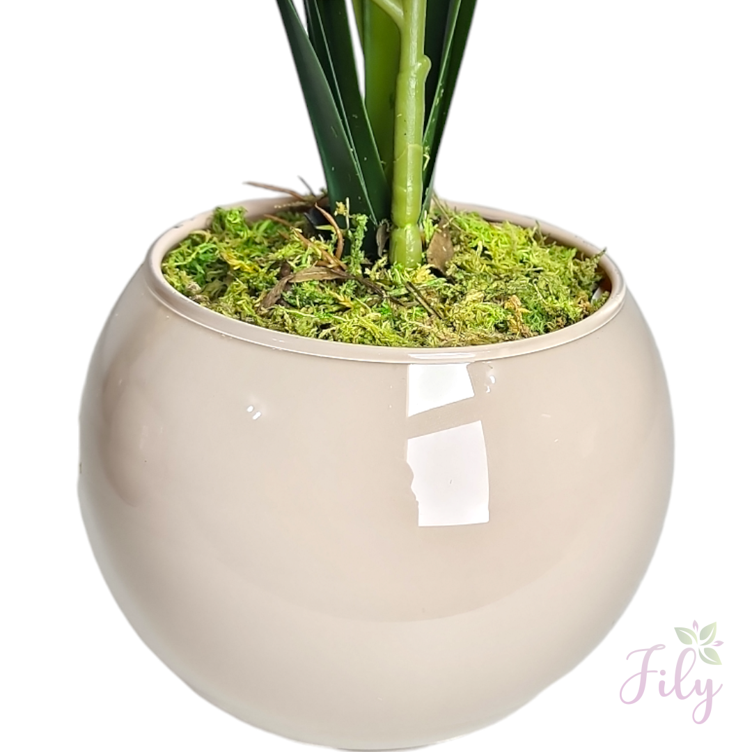 Arranjo de Orquídea Cymbidium Laranja Vaso vidro nude - Imagem 3