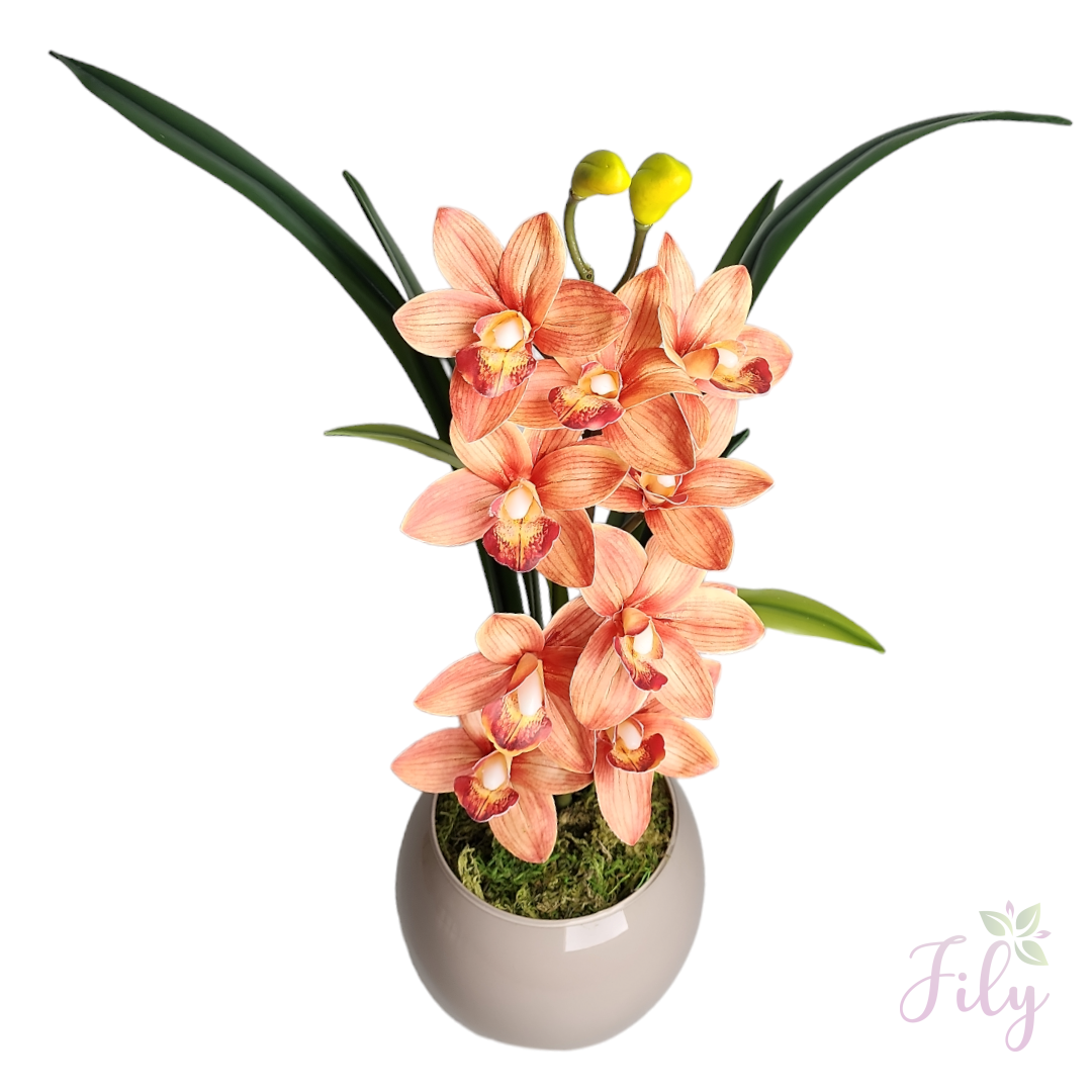 Arranjo de Orquídea Cymbidium Laranja Vaso vidro nude - Imagem 4