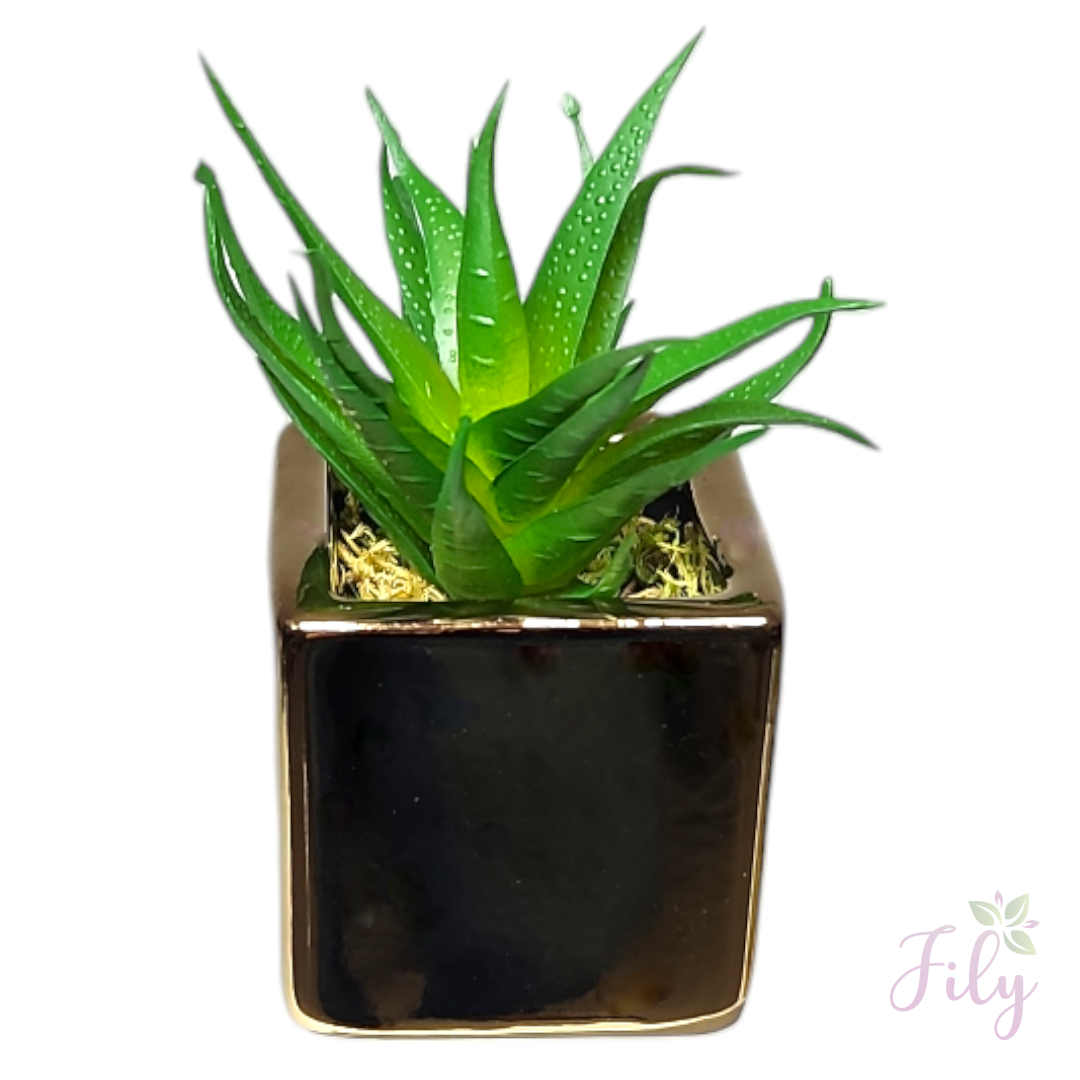 Arranjo de Suculenta modelo 8 com vaso cerâmica dourado quadrado