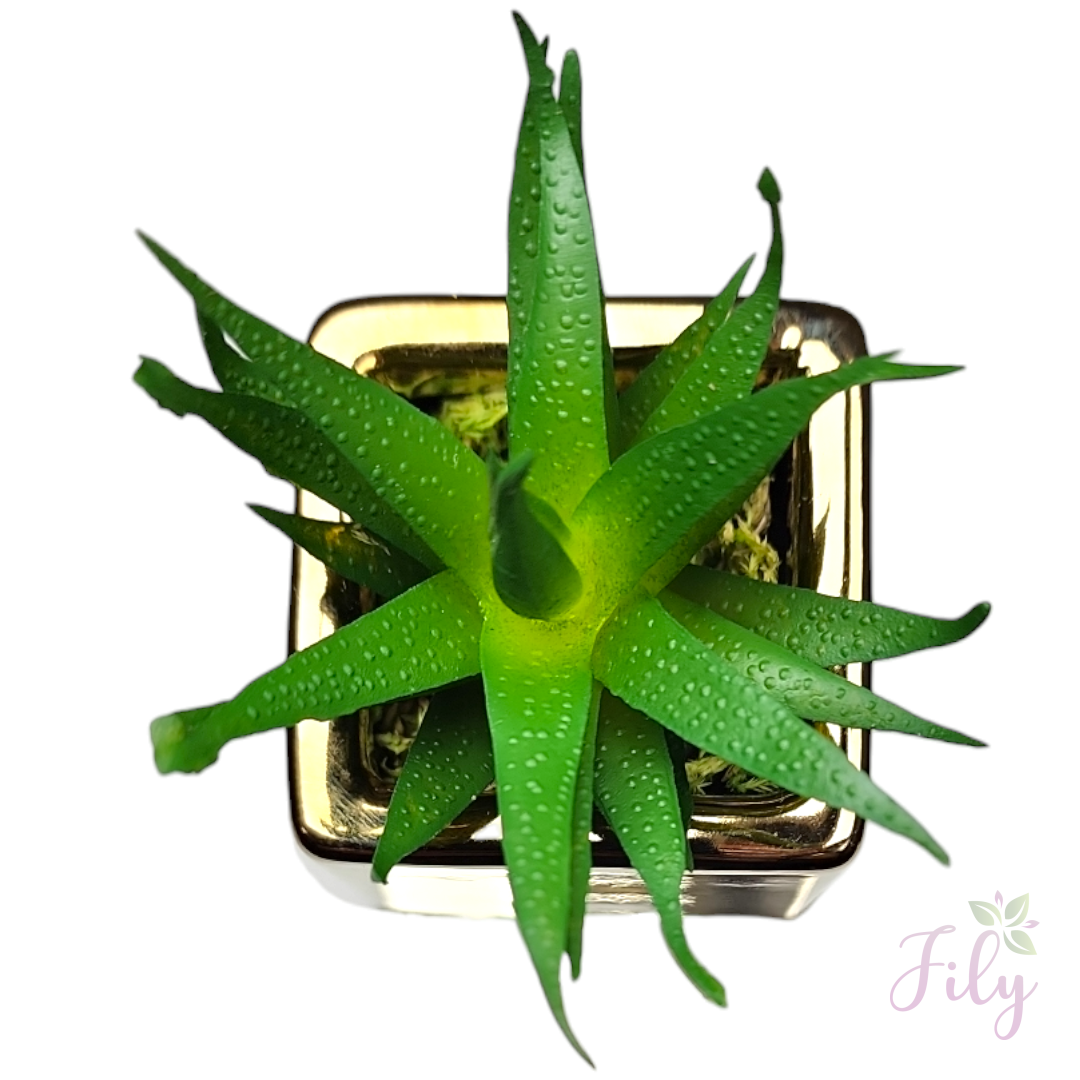 Arranjo de Suculenta modelo 8 com vaso cerâmica dourado quadrado - Imagem 2