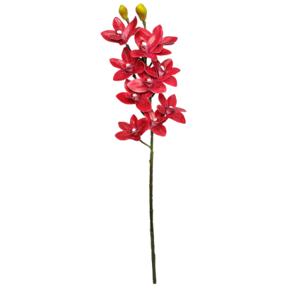 Haste Orquídea Cymbidium Toque Real Com 10 Coat A75Cm X L16CM - Vermelha
