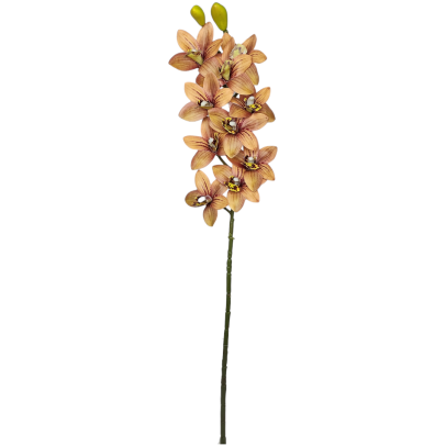 Haste Orquídea Cymbidium Toque Real Com 10 Coat A75Cm X L16CM - MARROM