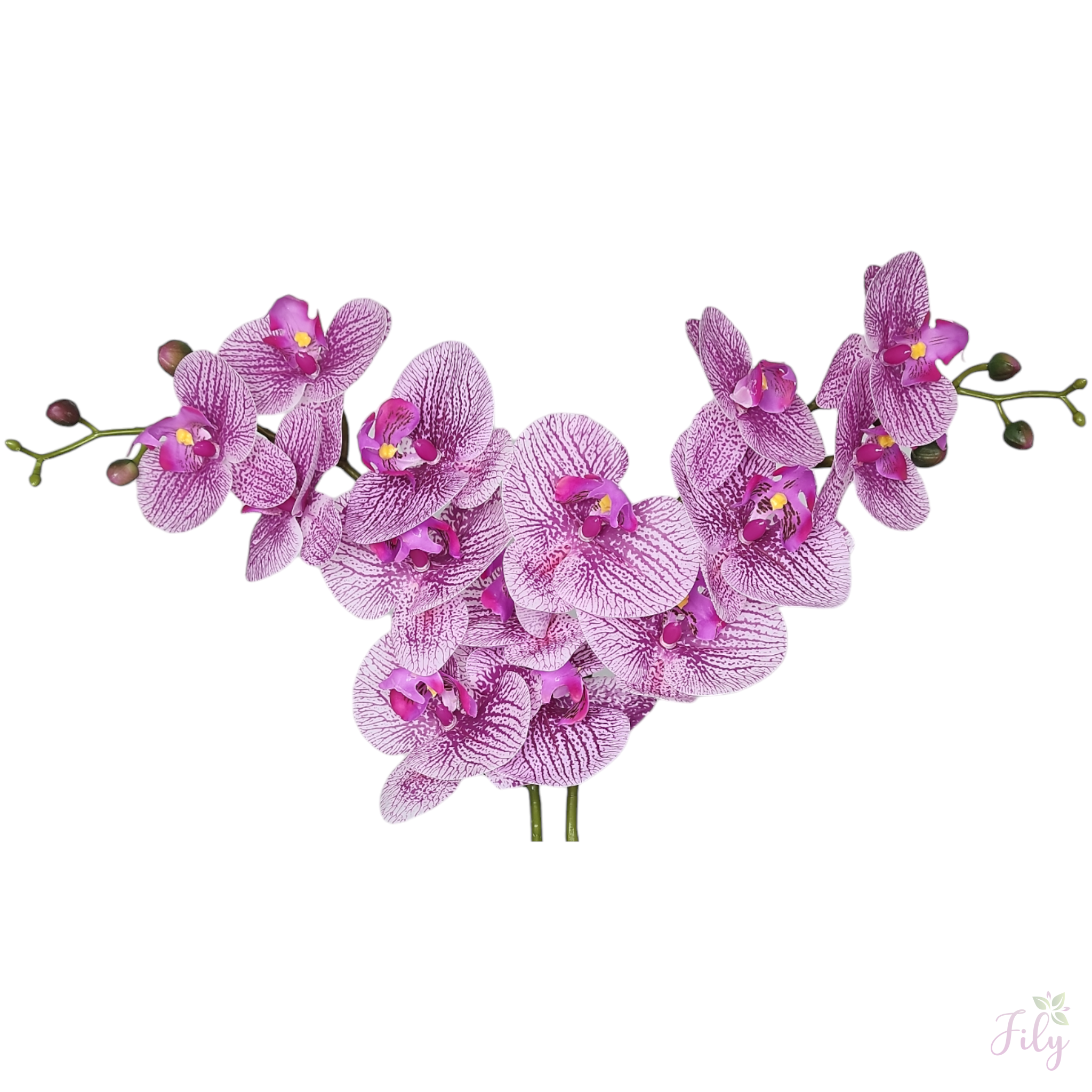 Arranjo com duas orquídeas branco beauty vaso de vidro bowl prata - Imagem 2