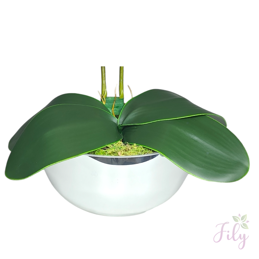 Arranjo com duas orquídeas branco beauty vaso de vidro bowl prata - Imagem 3