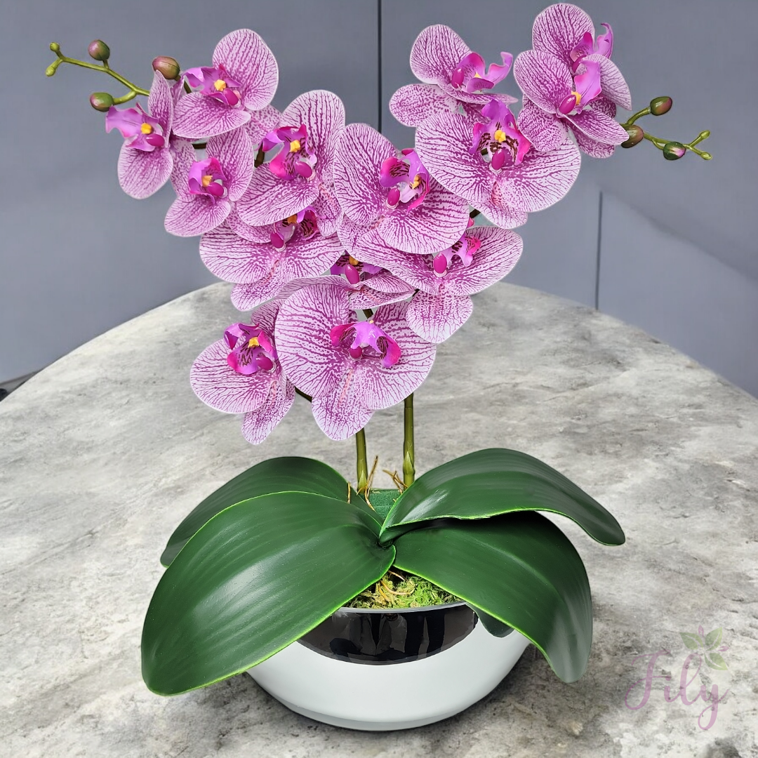 Arranjo com duas orquídeas branco beauty vaso de vidro bowl prata