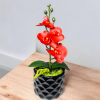 Arranjo de Mini Orquídea Vermelha Vaso cerâmica Diamante Preto