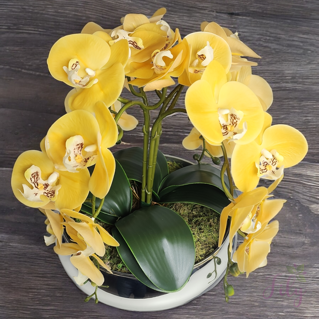 Arranjo com quatro orquídeas amarela vaso de vidro Lagoon prata - Imagem 2