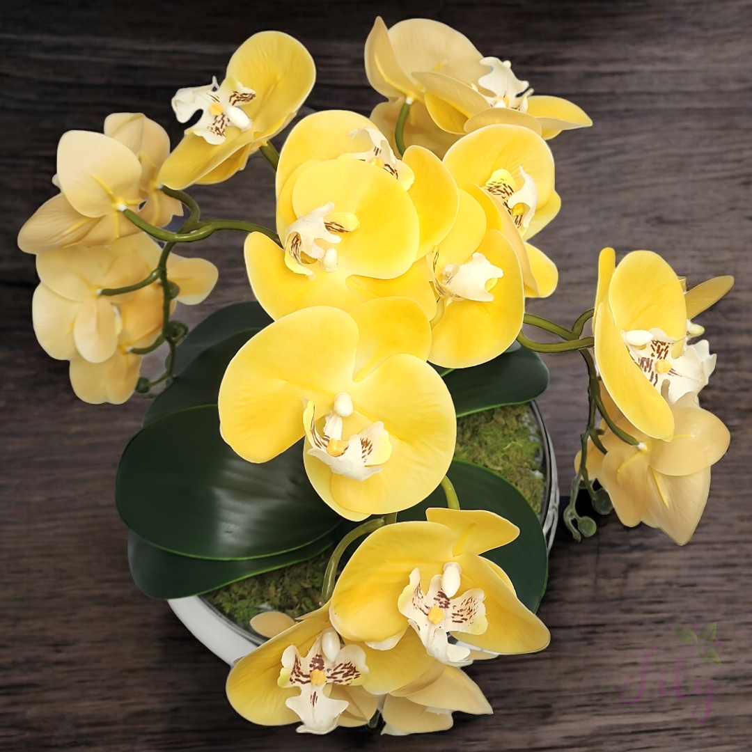 Arranjo com quatro orquídeas amarela vaso de vidro Lagoon prata - Imagem 3