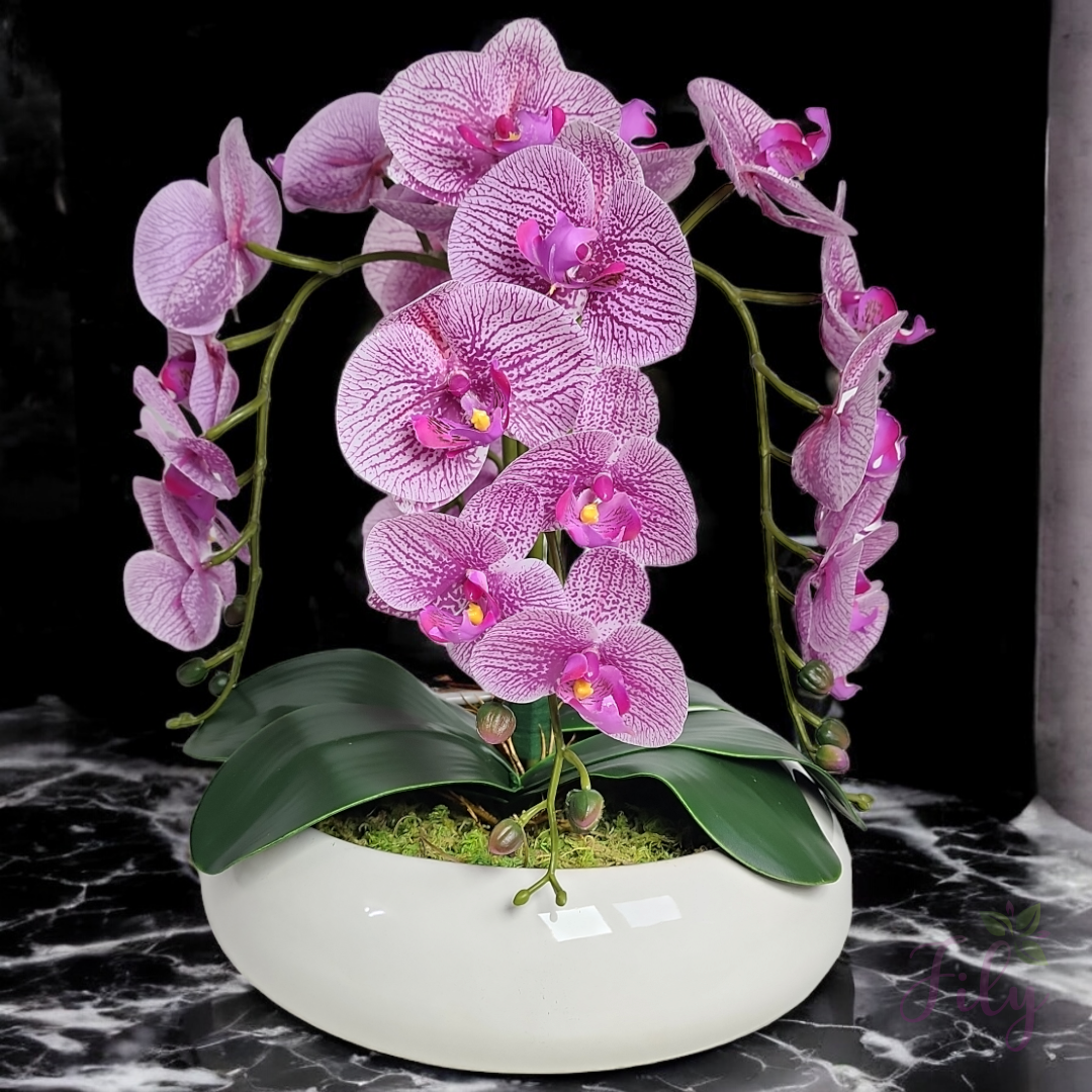 Arranjo com quatro orquídeas Branco Beauty vaso cerâmica branco Brilhante