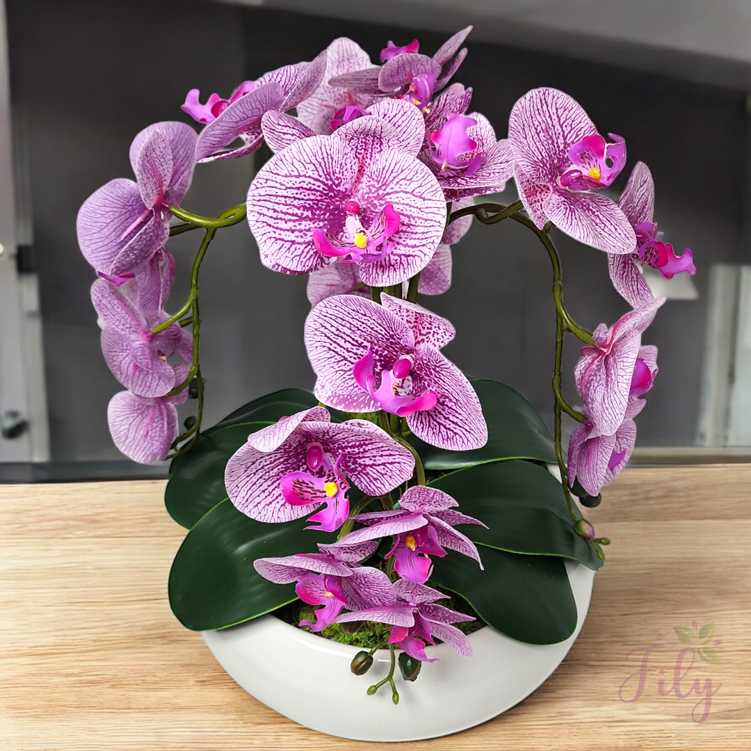 Arranjo com quatro orquídeas Branco Beauty vaso cerâmica branco Brilhante - Imagem 2