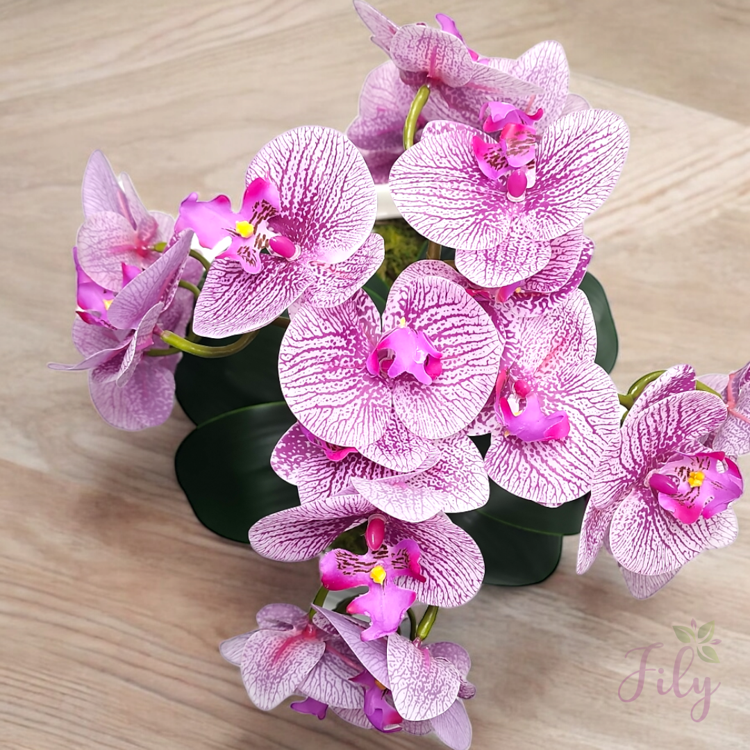 Arranjo com quatro orquídeas Branco Beauty vaso cerâmica branco Brilhante - Imagem 3