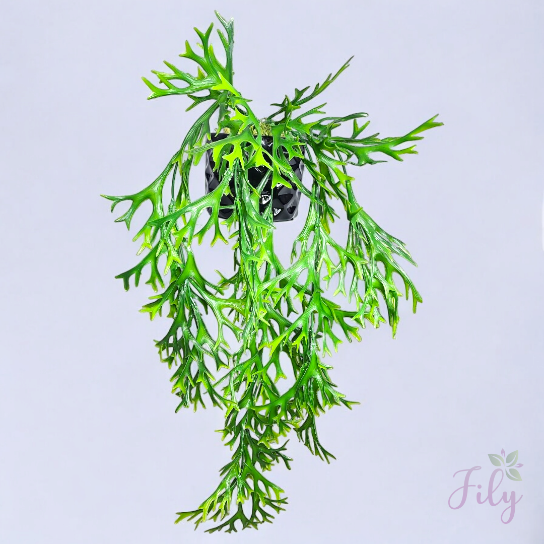 Arranjo de pendente folhagem chifre de veado vaso cerâmica preto P