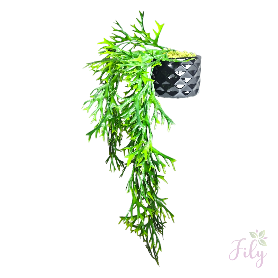 Arranjo de pendente folhagem chifre de veado vaso cerâmica preto P - Imagem 2