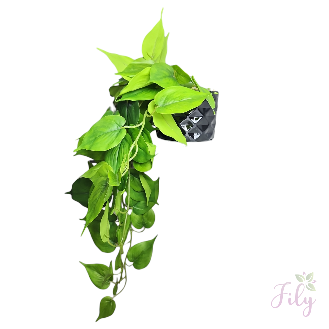 Arranjo de pendente jiboia vaso cerâmica preto P - Imagem 2