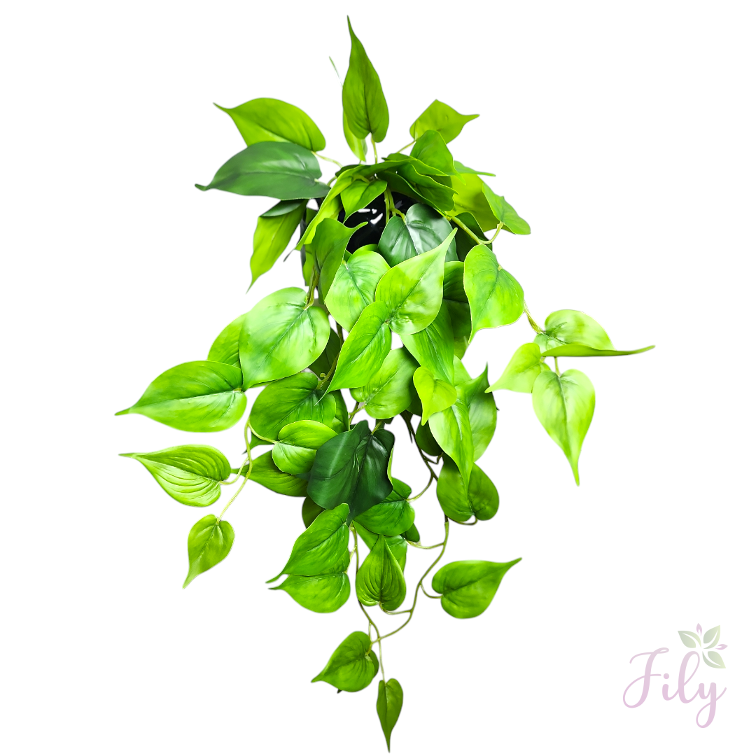 Arranjo de pendente jiboia vaso cerâmica preto P - Imagem 3