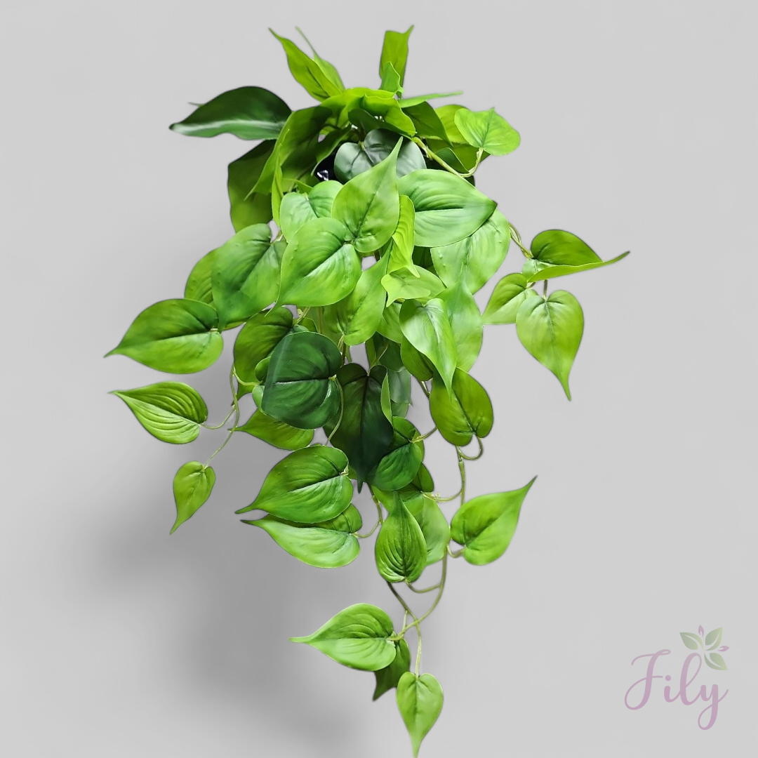 Arranjo de pendente jiboia vaso cerâmica preto P