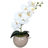Arranjo de orquídea branca vaso de vidro Tailândia nude