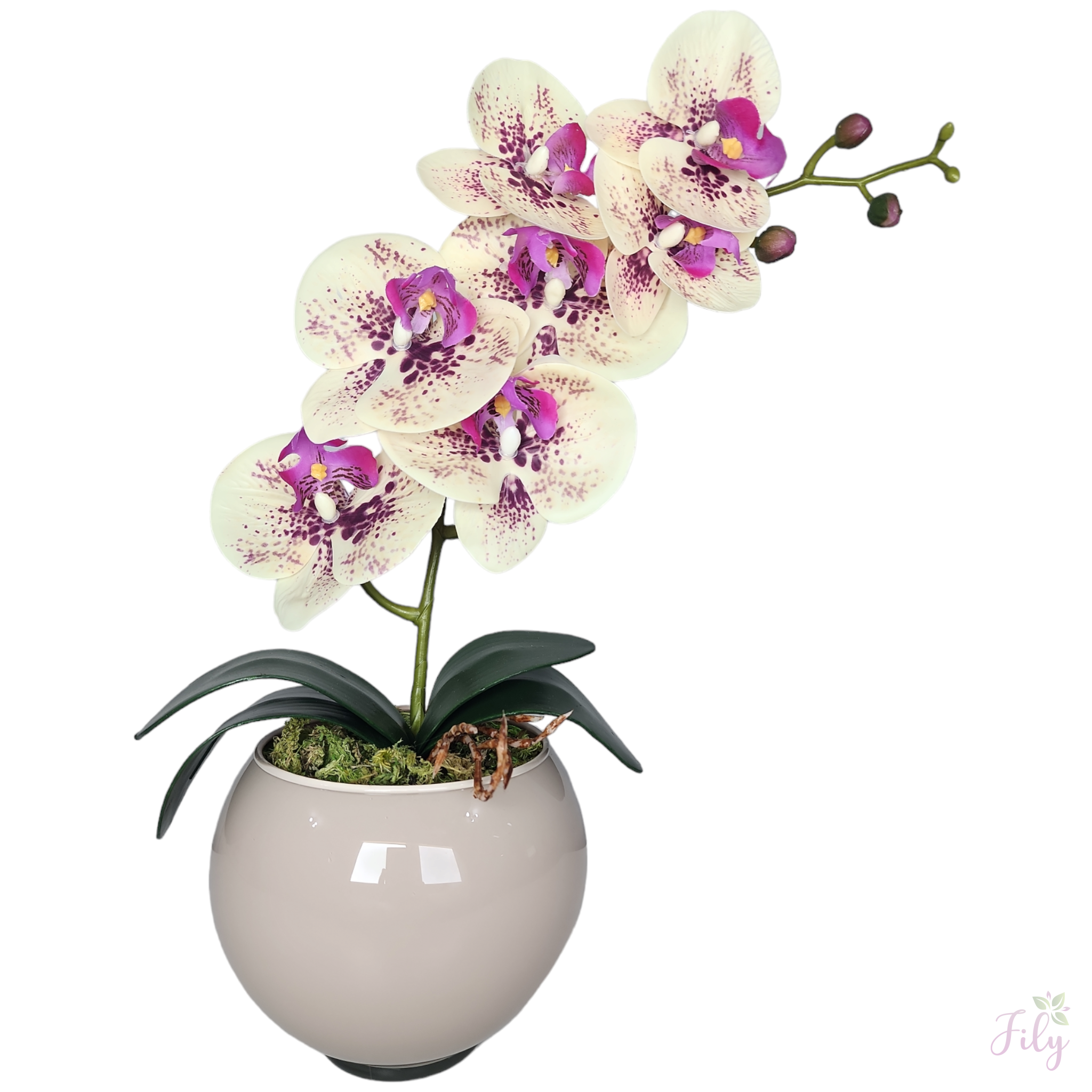 Arranjo de orquídea creme lavanda vaso de vidro Tailândia nude