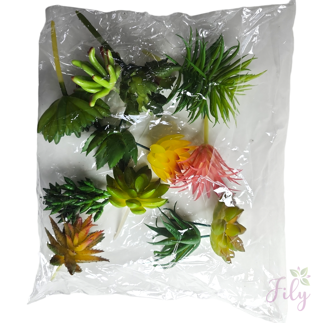 Kit com 12 Modelos de Suculentas A 23 cm x L 25