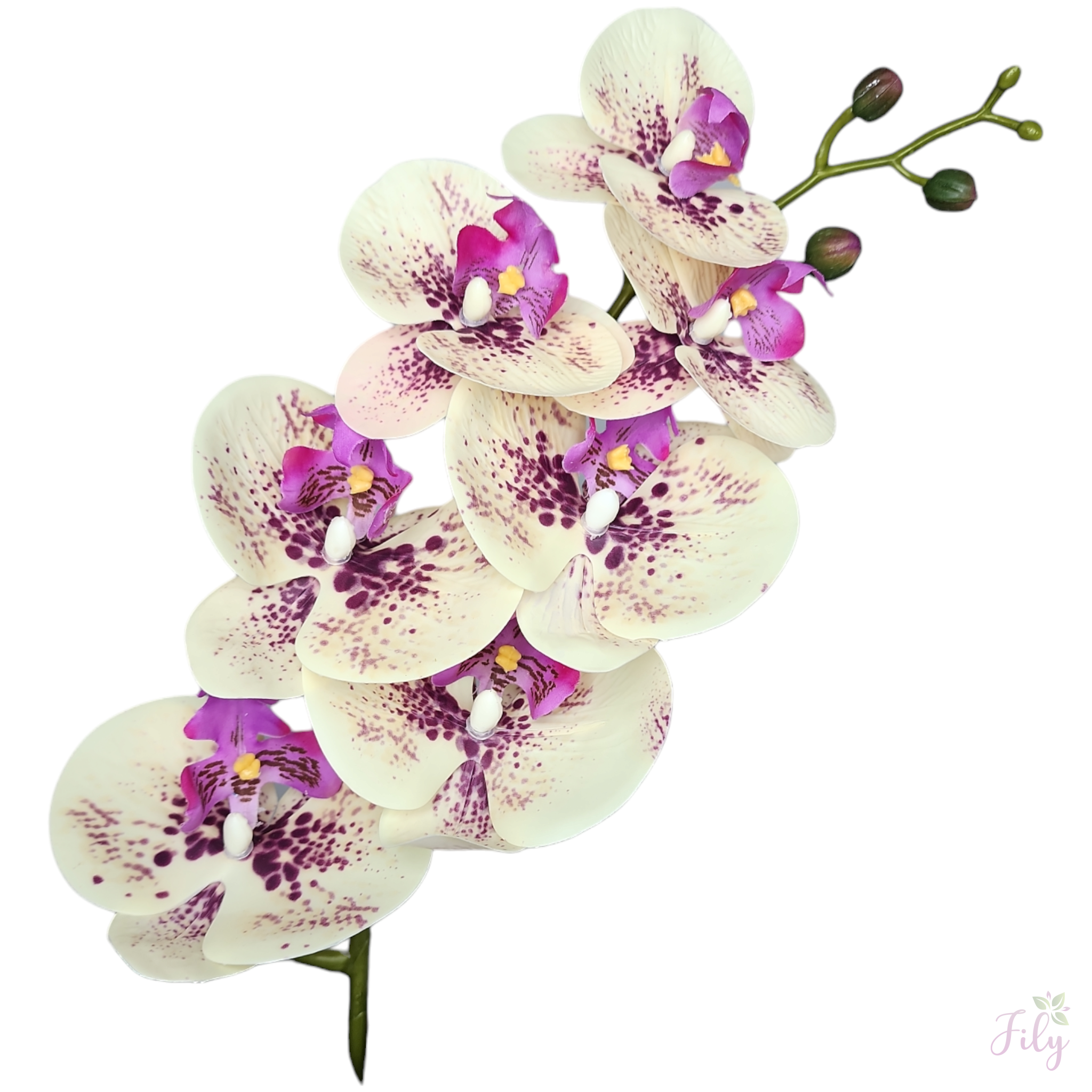 Arranjo com orquídea creme lavanda vaso cerâmica escamado florarte prata - Imagem 2