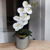 Arranjo com orquídea branca vaso cerâmica florarte prata