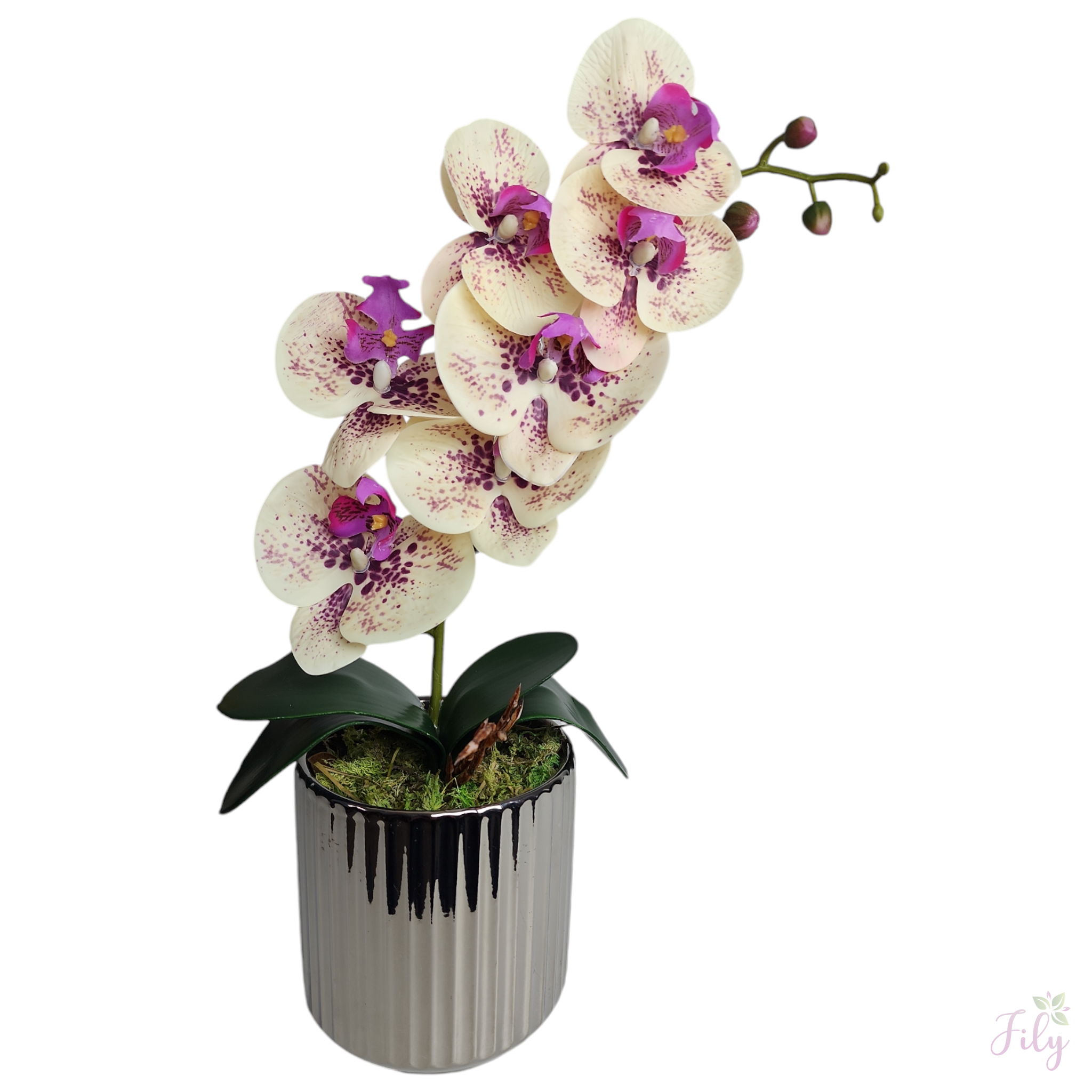 Arranjo com orquídea creme lavanda vaso cerâmica florarte prata