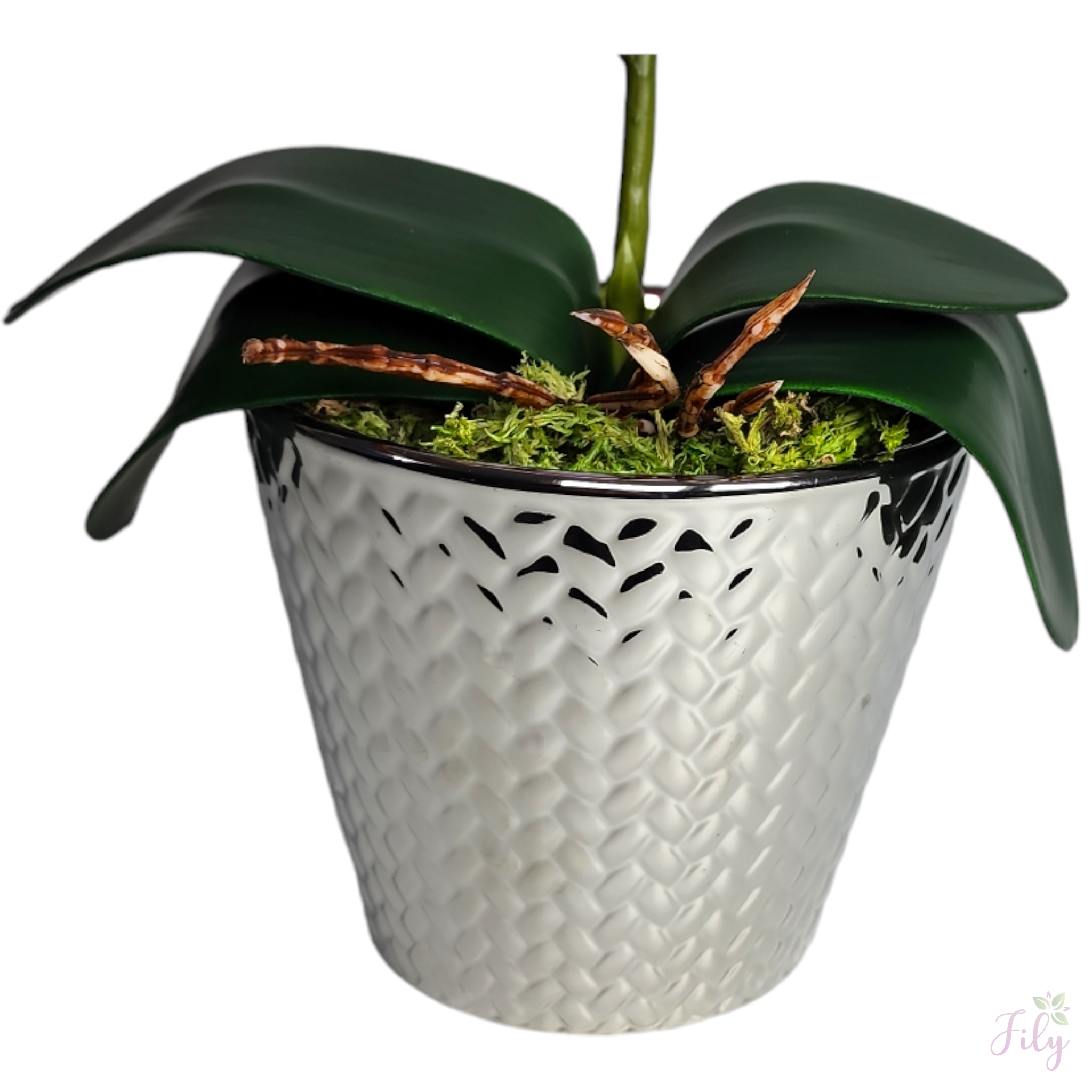 Arranjo com orquídea creme lavanda vaso cerâmica escamado florarte prata - Imagem 3