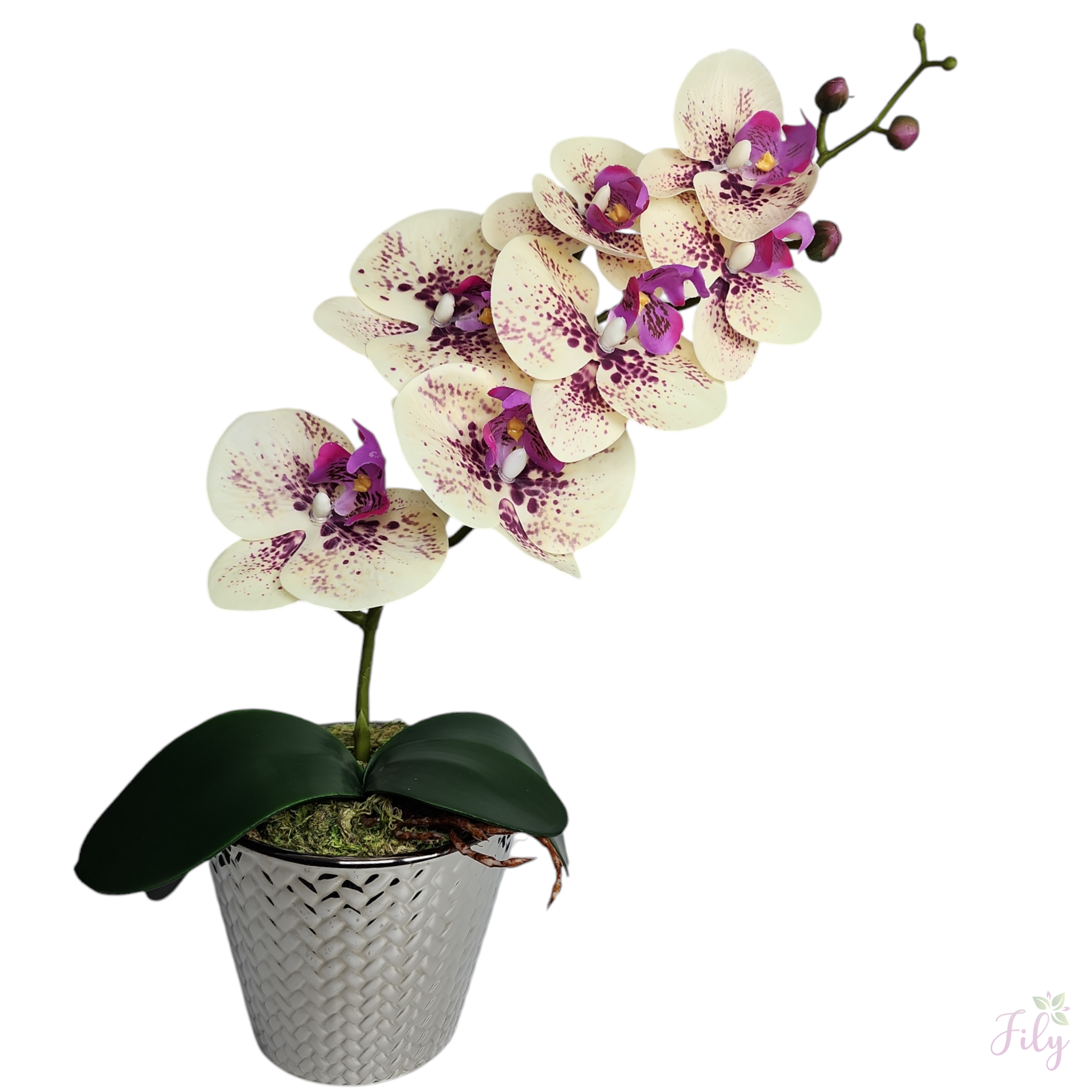 Arranjo com orquídea creme lavanda vaso cerâmica escamado florarte prata