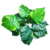 fundo verde com amarelo